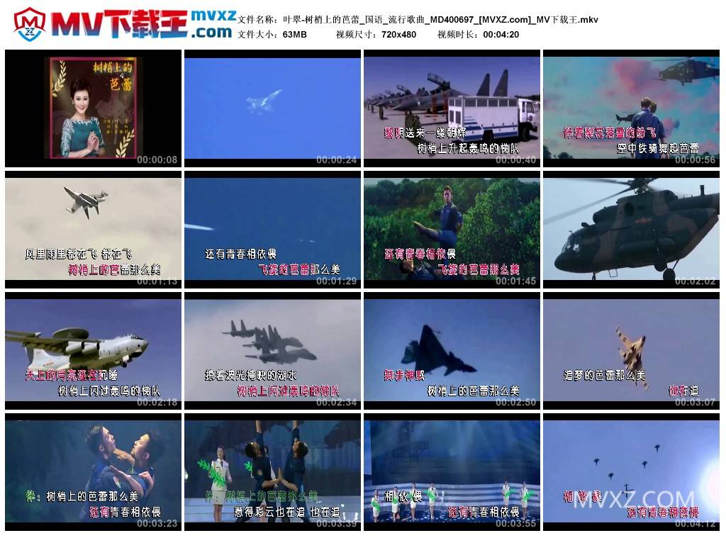 叶翠-树梢上的芭蕾_国语_流行歌曲_MD400697